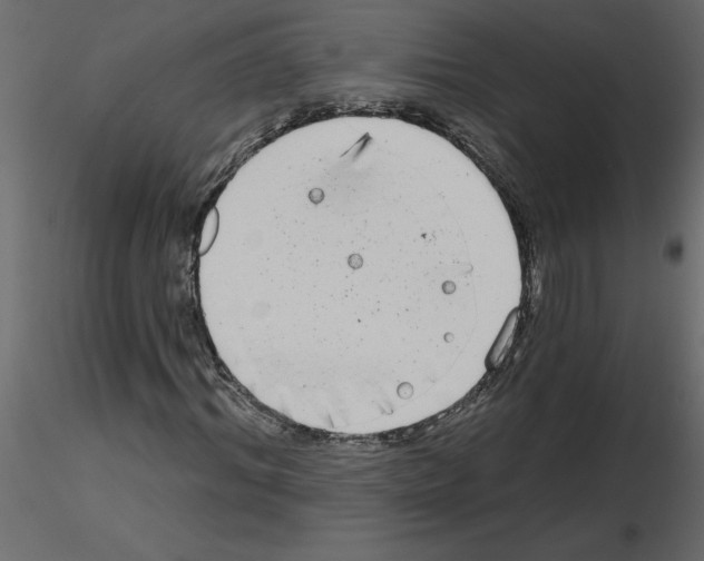 X0000115670964200912241416