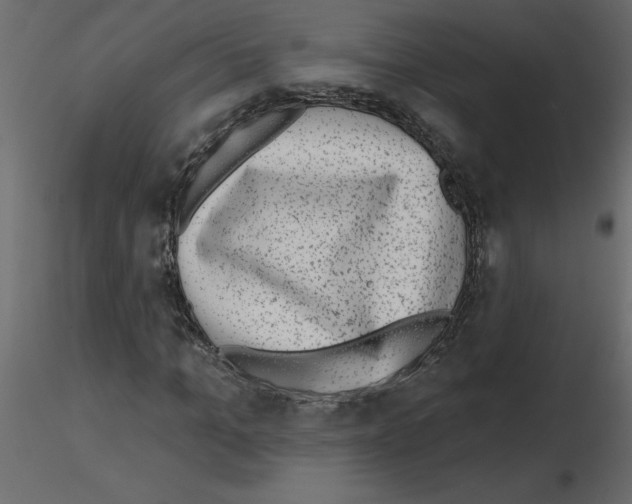 X0000115670965200912241416