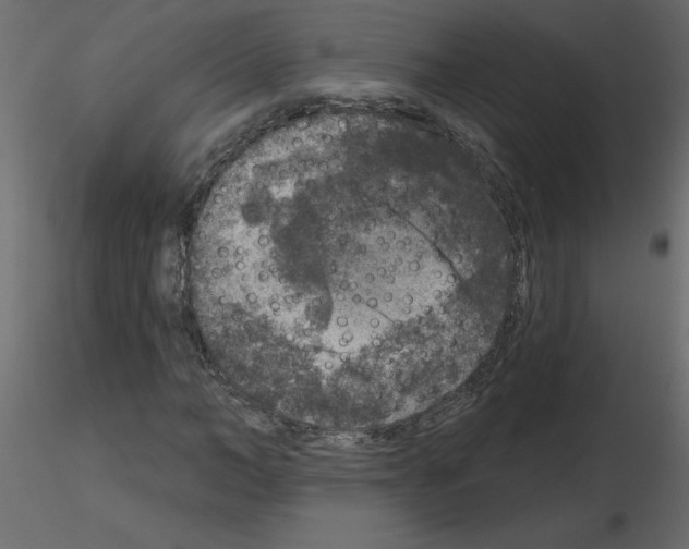 X0000115670966200912241416