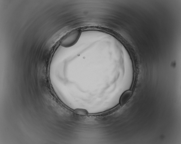 X0000115670969200912241416