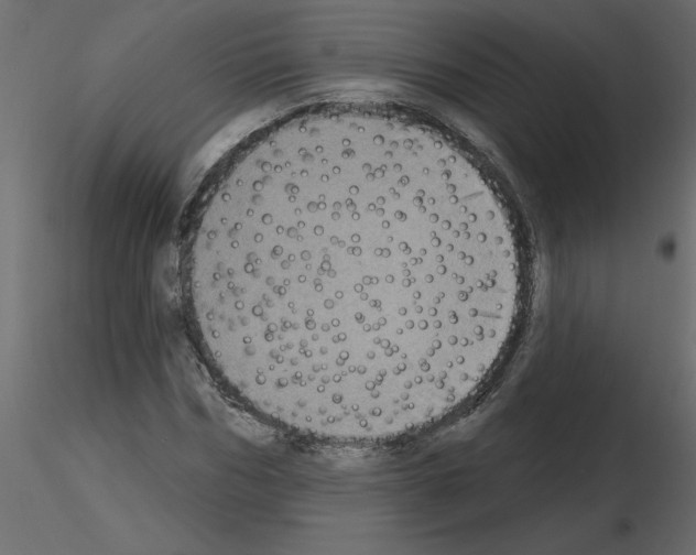 X0000115670970200912241416