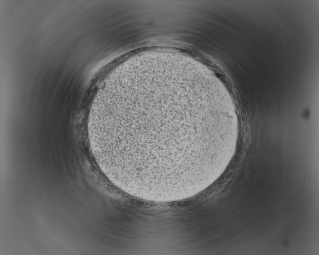 X0000115670971200912241416