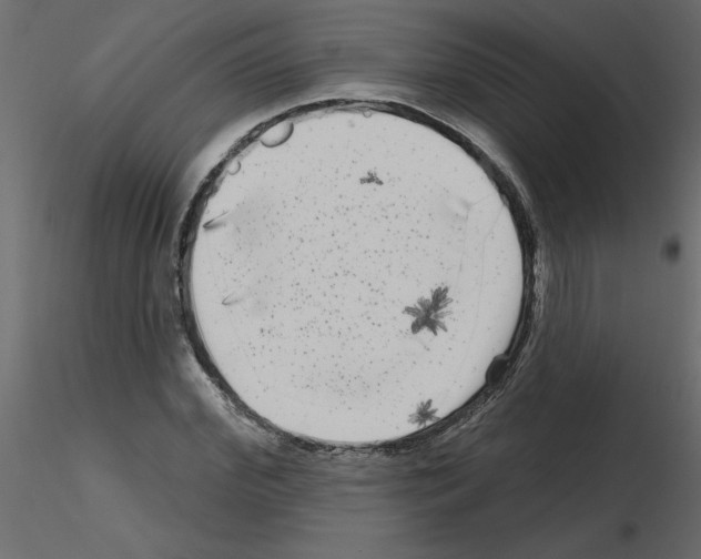 X0000115670972200912241416