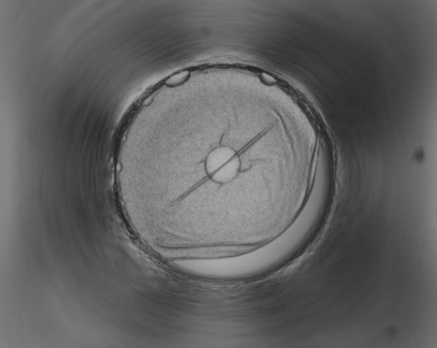 X0000115670973200912241416