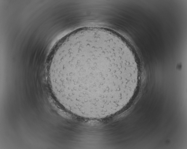 X0000115670974200912241416