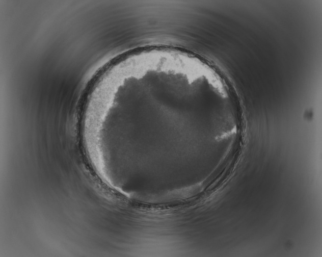 X0000115670975200912241416