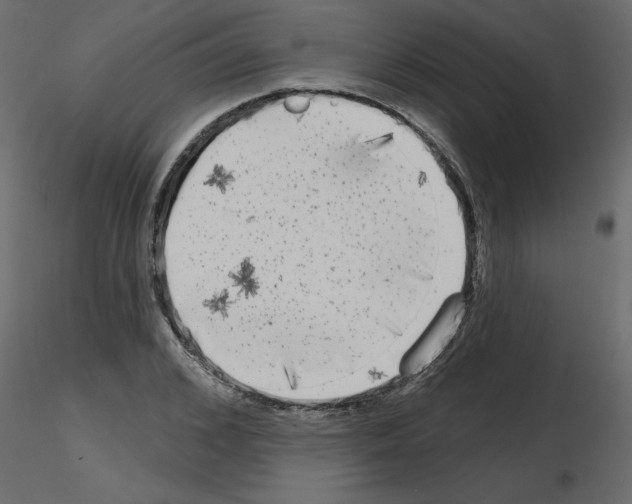 X0000115670976200912241416