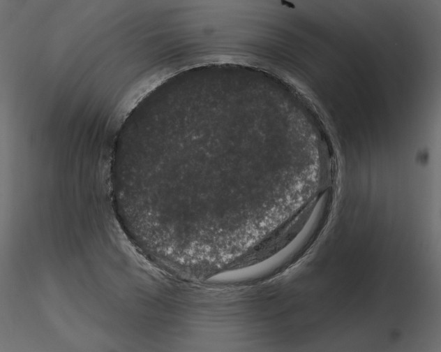 X0000115670977200912241416