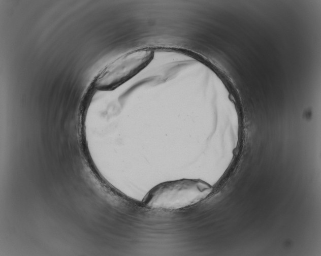 X0000115670981200912241416