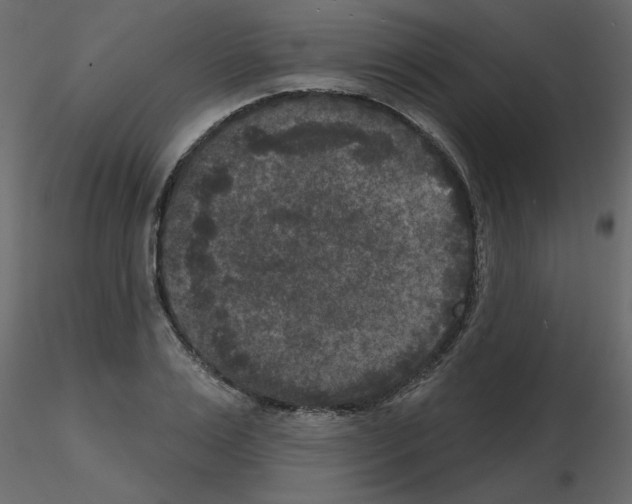 X0000115670983200912241416