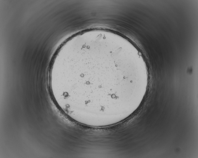 X0000115670984200912241416