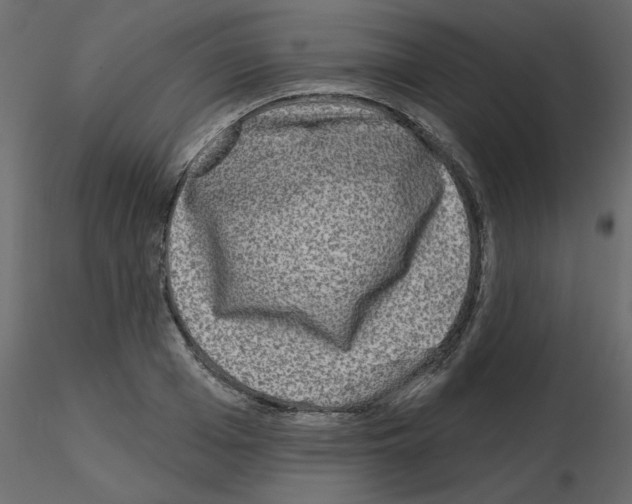 X0000115670985200912241416