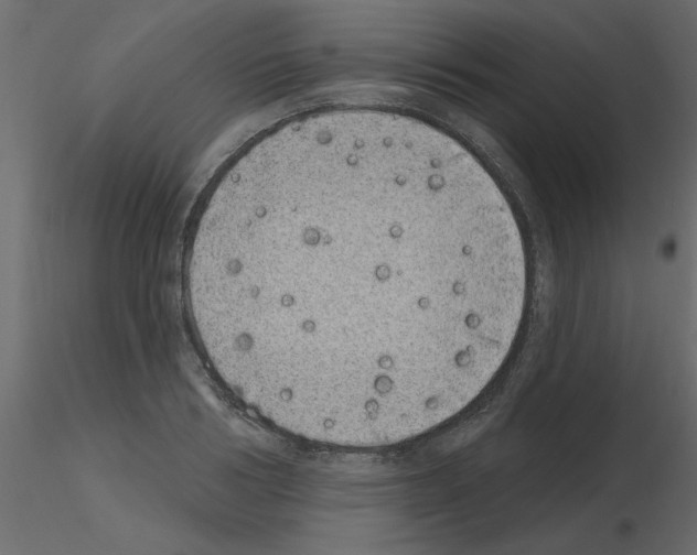 X0000115670986200912241416