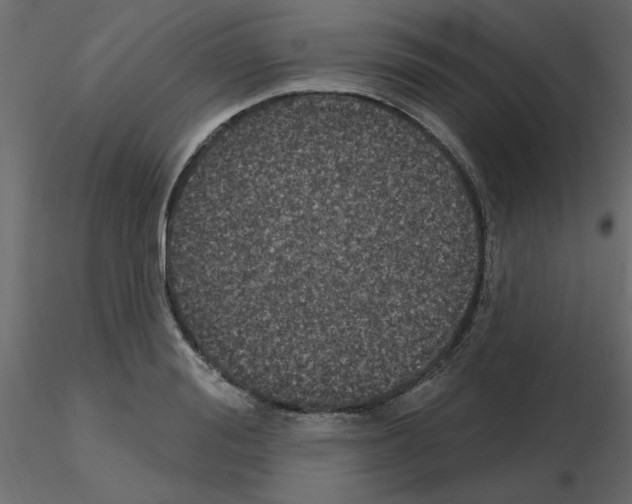 X0000115670988200912241416