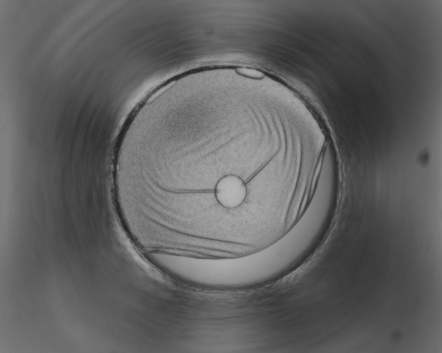 X0000115670989200912241416