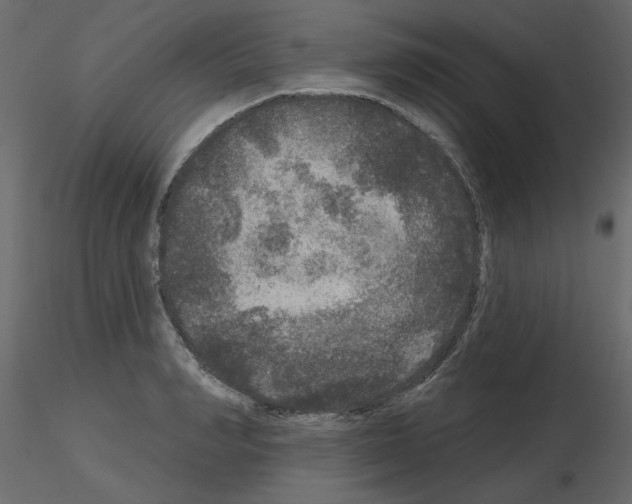 X0000115670990200912241416