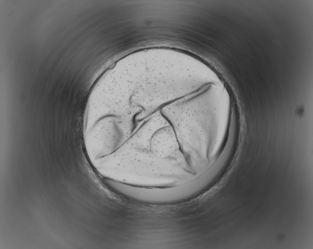 X0000115670993200912241416