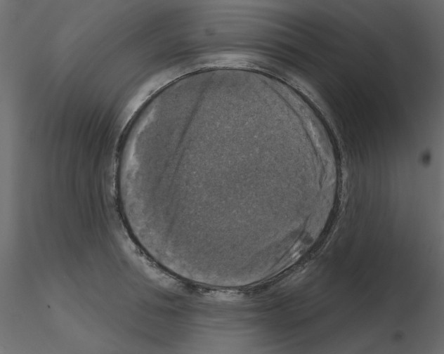 X0000115670994200912241416