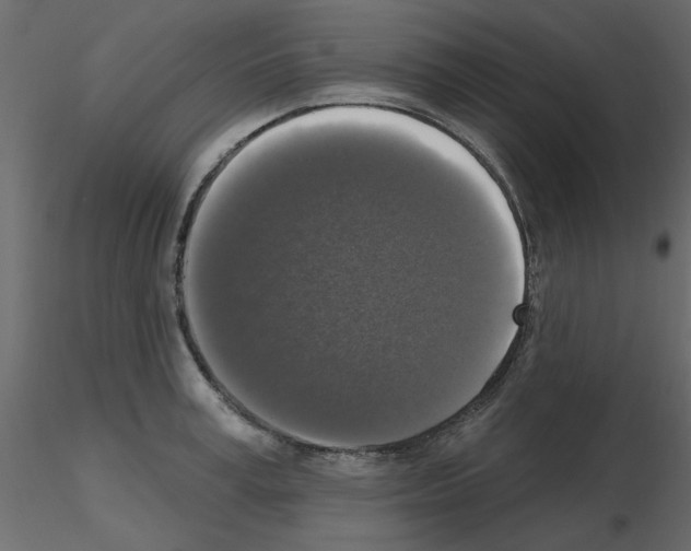 X0000115670995200912241416