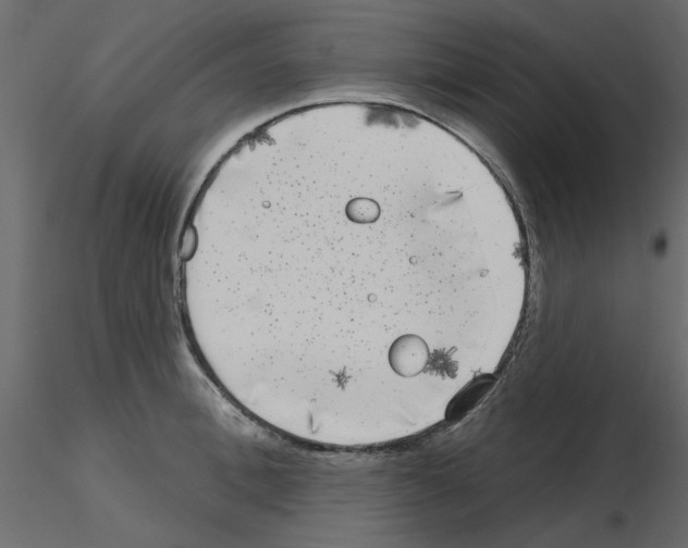 X0000115670996200912241416