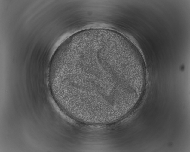 X0000115670997200912241416