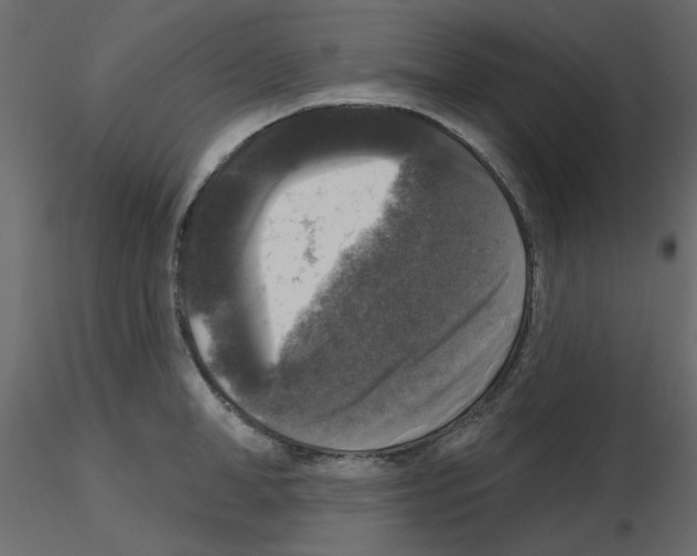 X0000115670998200912241416