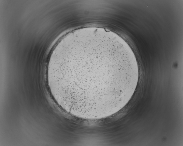 X0000115671000200912241416