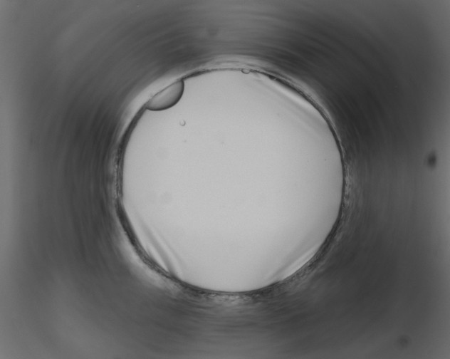 X0000115671003200912241416