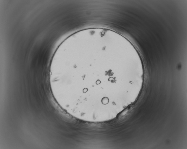 X0000115671004200912241416