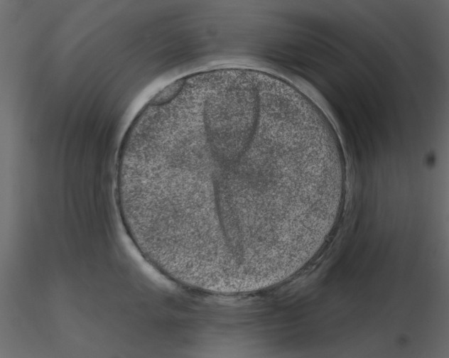 X0000115671005200912241416