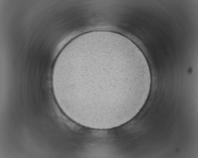 X0000115671006200912241416