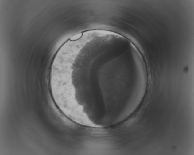 X0000115671007200912241416