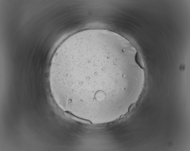 X0000115671008200912241416