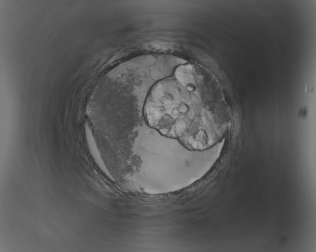 X0000115671009200912241415