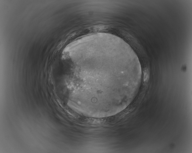 X0000115671011200912241415