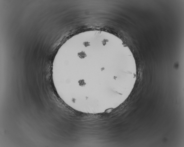 X0000115671012200912241415