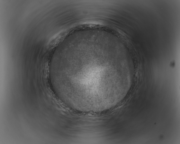 X0000115671014200912241415