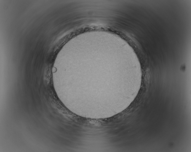 X0000115671015200912241415