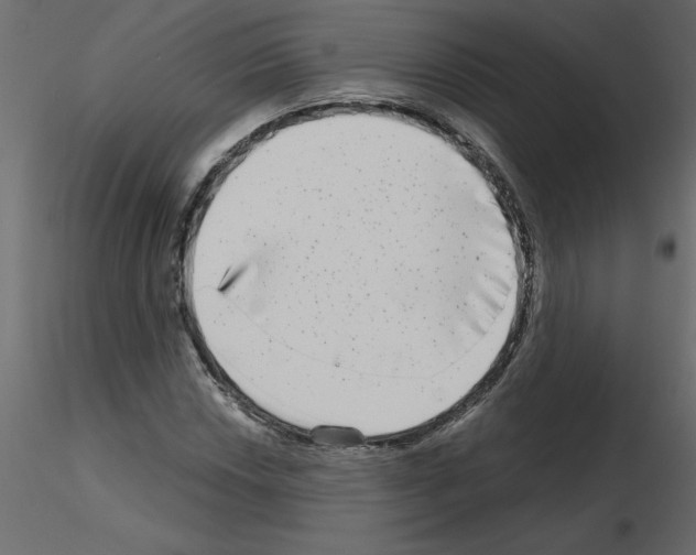 X0000115671018200912241415