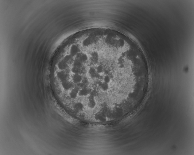 X0000115671019200912241415