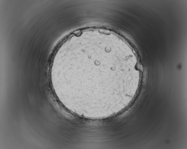 X0000115671021200912241415