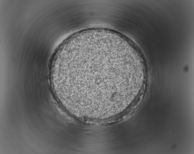 X0000115671022200912241415