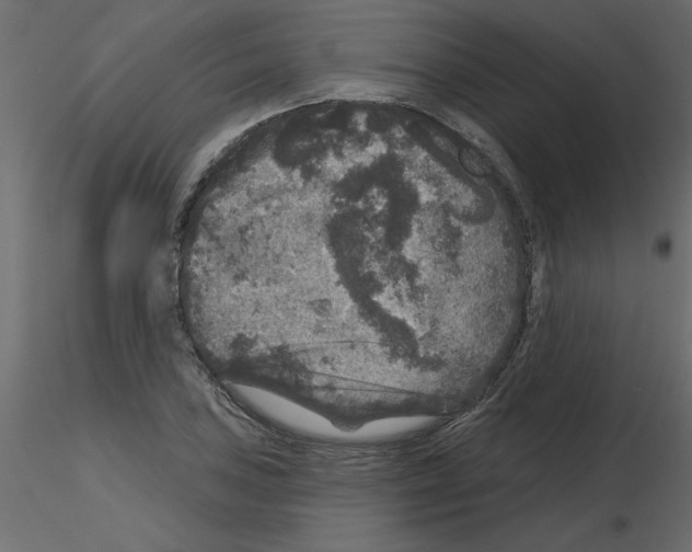 X0000115671027200912241415