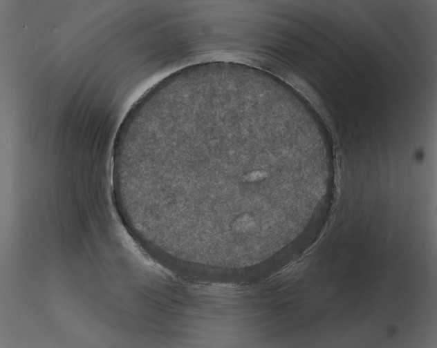 X0000115671028200912241415