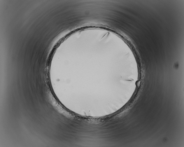 X0000115671029200912241415