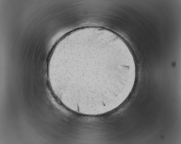 X0000115671030200912241415