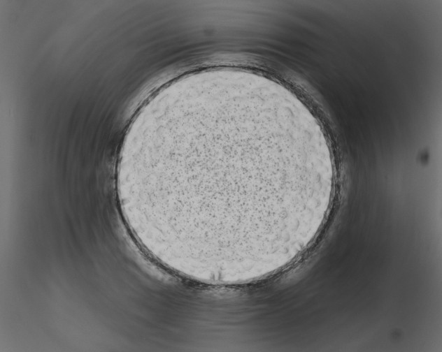 X0000115671033200912241415