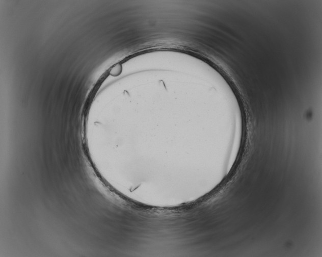 X0000115671034200912241415