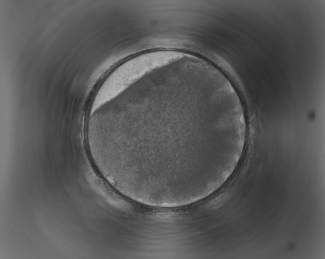 X0000115671035200912241415