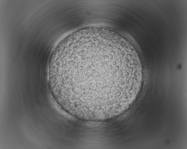 X0000115671036200912241415